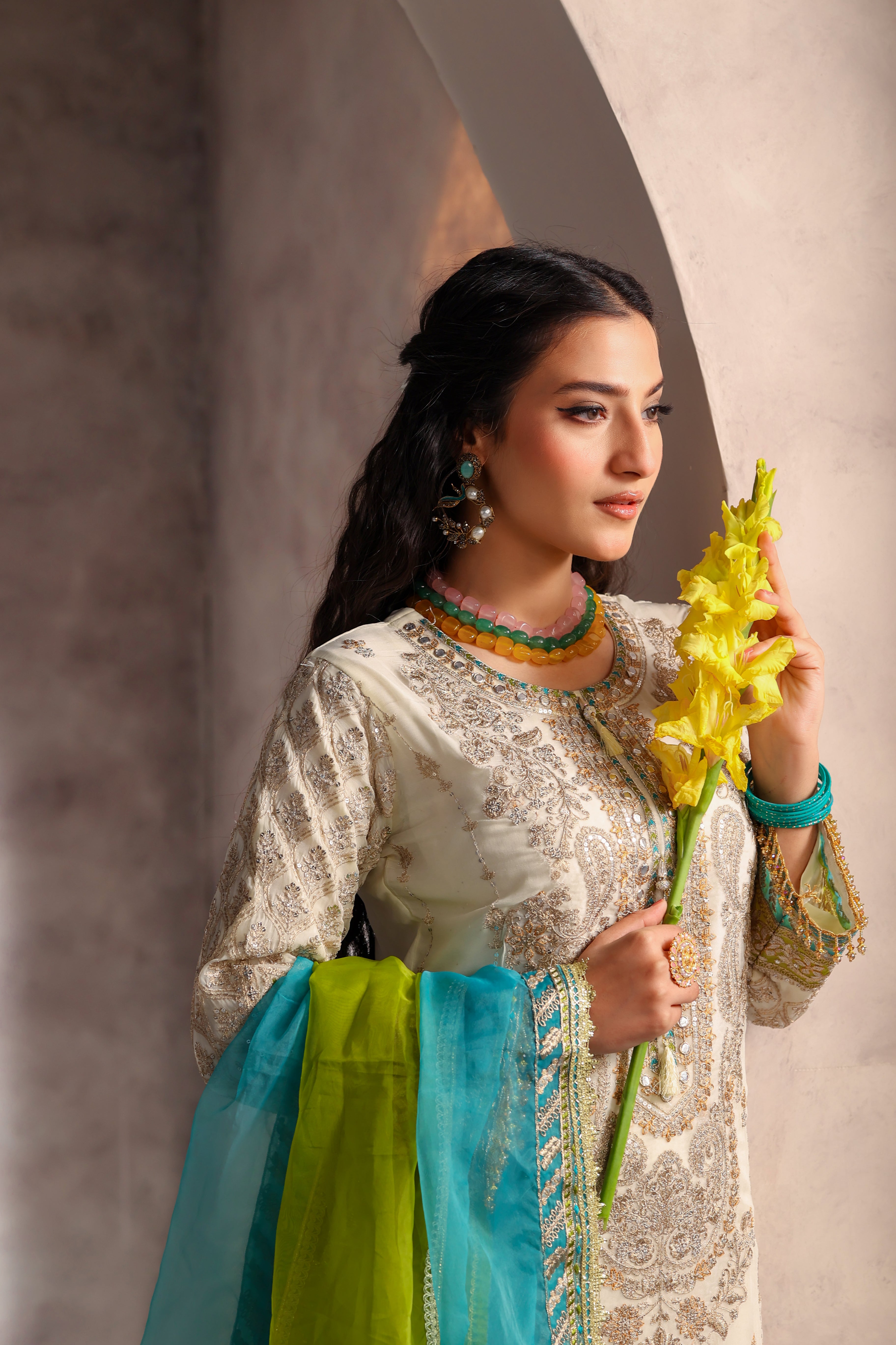 Aleena Bamber Chiffon Formal Suit -NFD-305